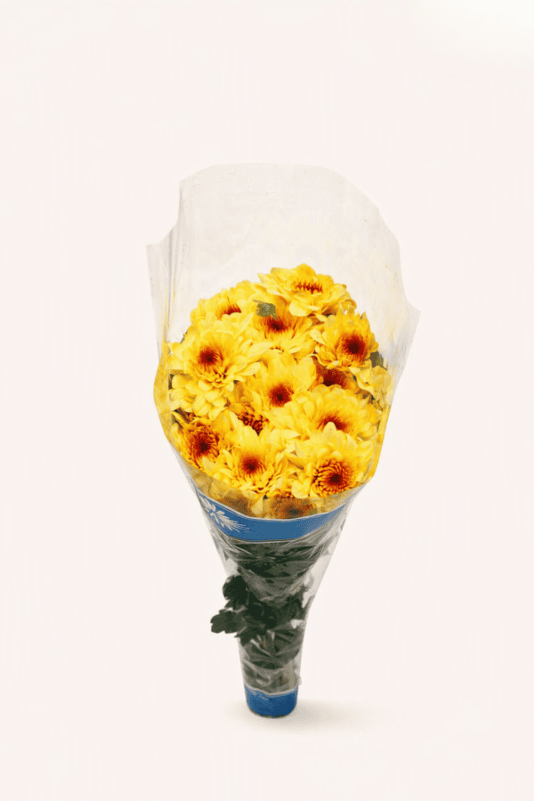 6.png Golden Sunburst Chrysanthemum Bunch